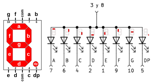 Diagrama interno y designación de pines en un displays 7 segmentos