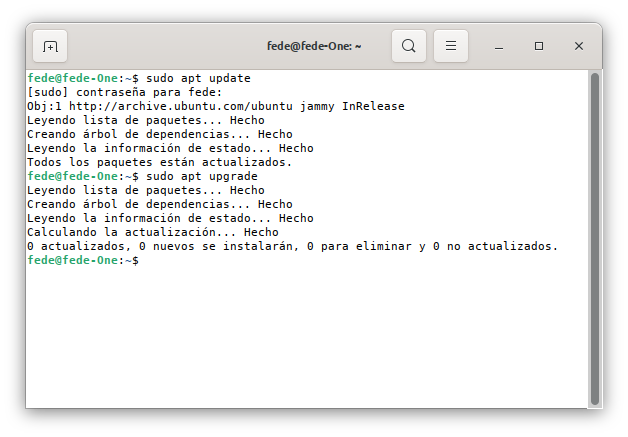Comandos update y upgrade en un sistema bien actualizado